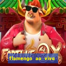 flamengo ao vivo multi canais